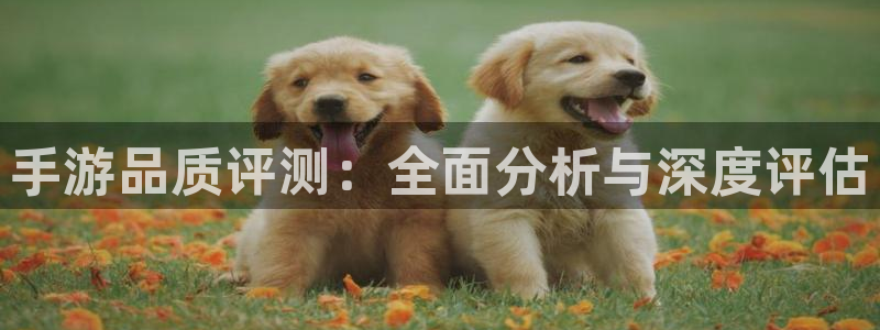 28大神苹果怎么下载：手游品质评测：全面分析与深度评估