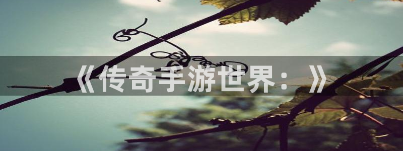 大神28加拿大在线上分：《传奇手游世界：》