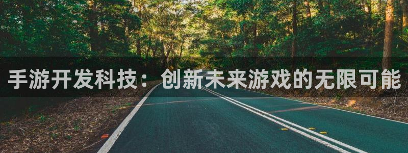 28大神官网app：手游开发科技：创新未来游戏的无限可能