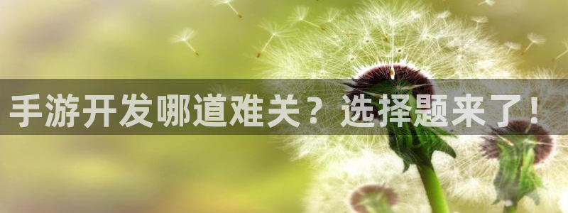 28大神怎么下载不了：手游开发哪道难关？选择题来了！