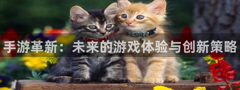 最新28大神预：手游革新：未来的游戏体验与创新策略
