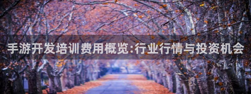 28大神加拿大：手游开发培训费用概览:行业行情与投资机会